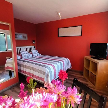 Apartamentos La Casa Del Pintor Cudillero Phòng bức ảnh